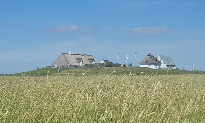 Hallig Krog